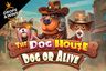 The Dog House – Dog or Alive